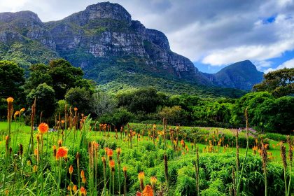 margit-umbach-6jyMHaPtHIs-unsplash